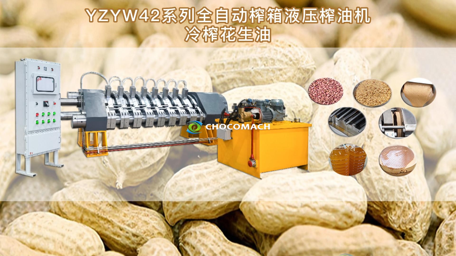 鑫兆豐YZYW新型全自動液壓花生榨油機(jī)純物理壓榨花生油