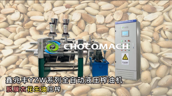YZW新型全自動花生榨油機(jī)液壓冷榨花生油 