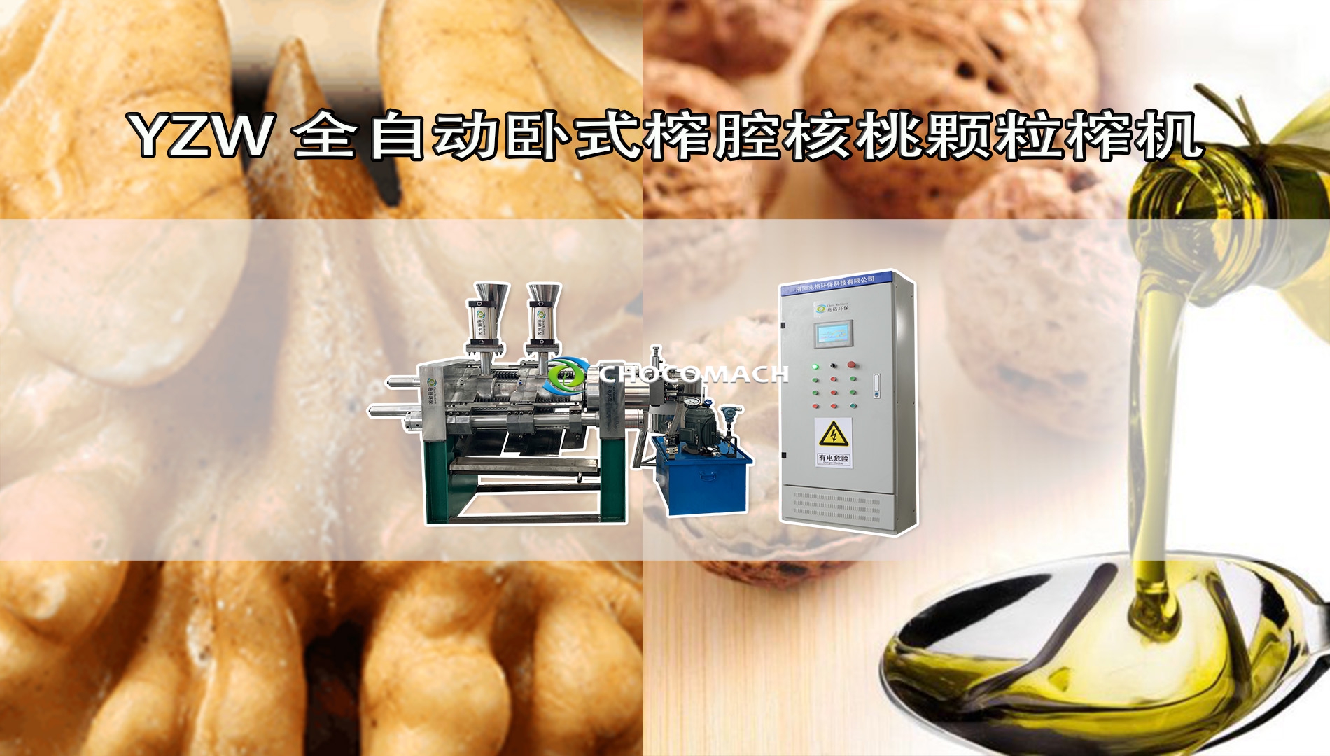 鑫兆豐YZW全自動液壓核桃榨油機冷榨核桃仁制取核桃油