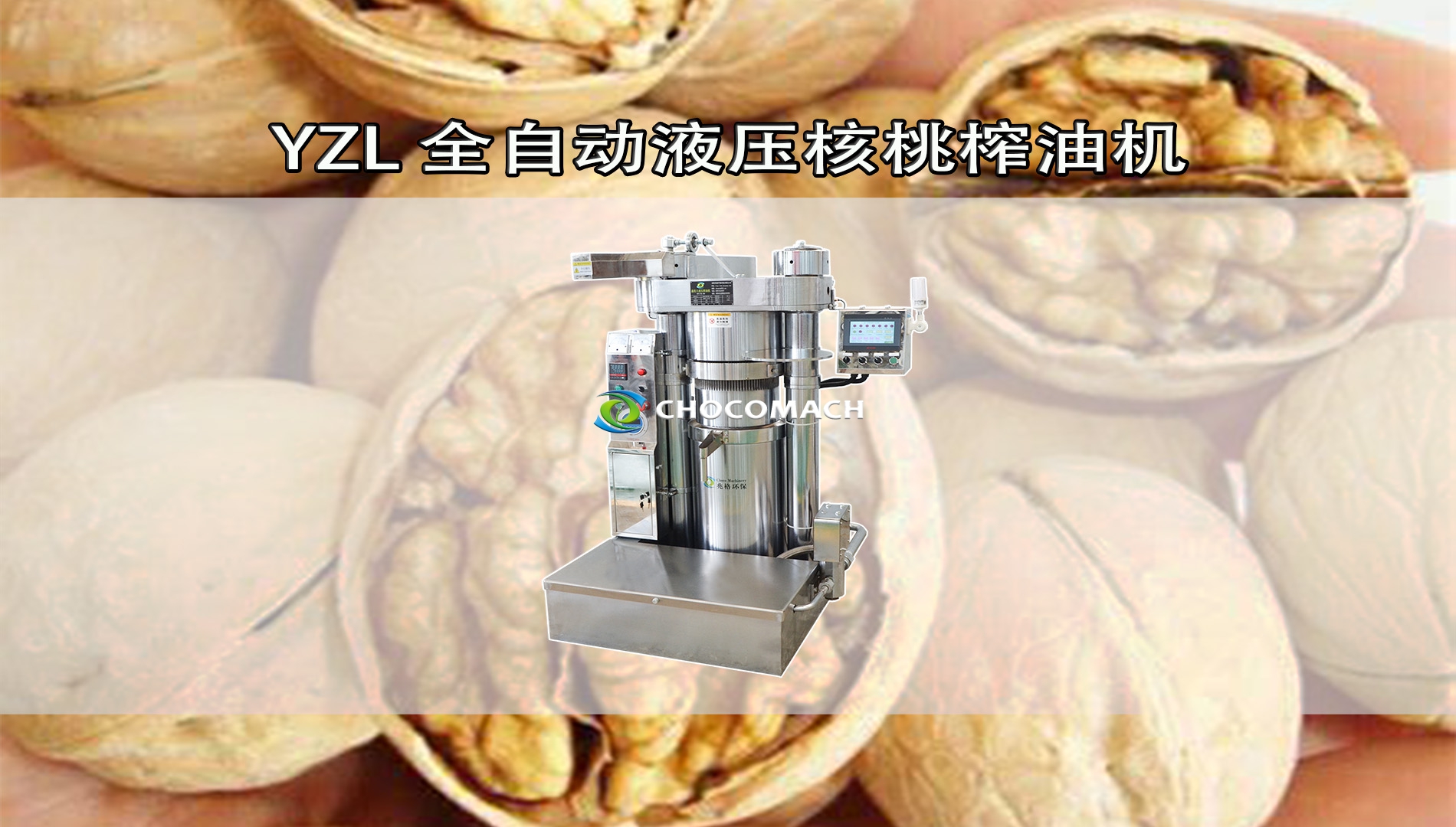 YZL液壓核桃榨油機壓榨核桃油