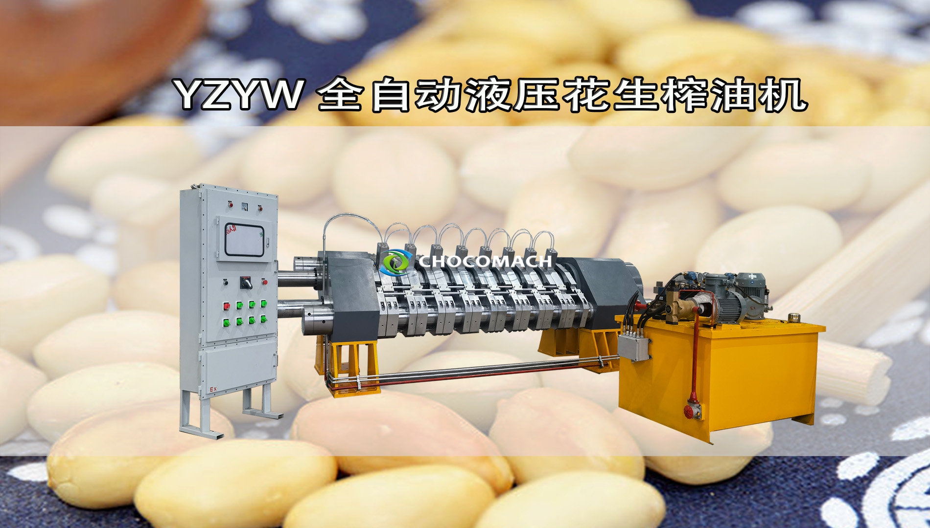 全自動花生榨油機壓榨花生油視頻