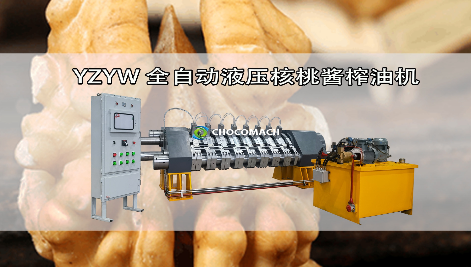 全自動液壓核桃榨油機冷榨核桃漿視頻