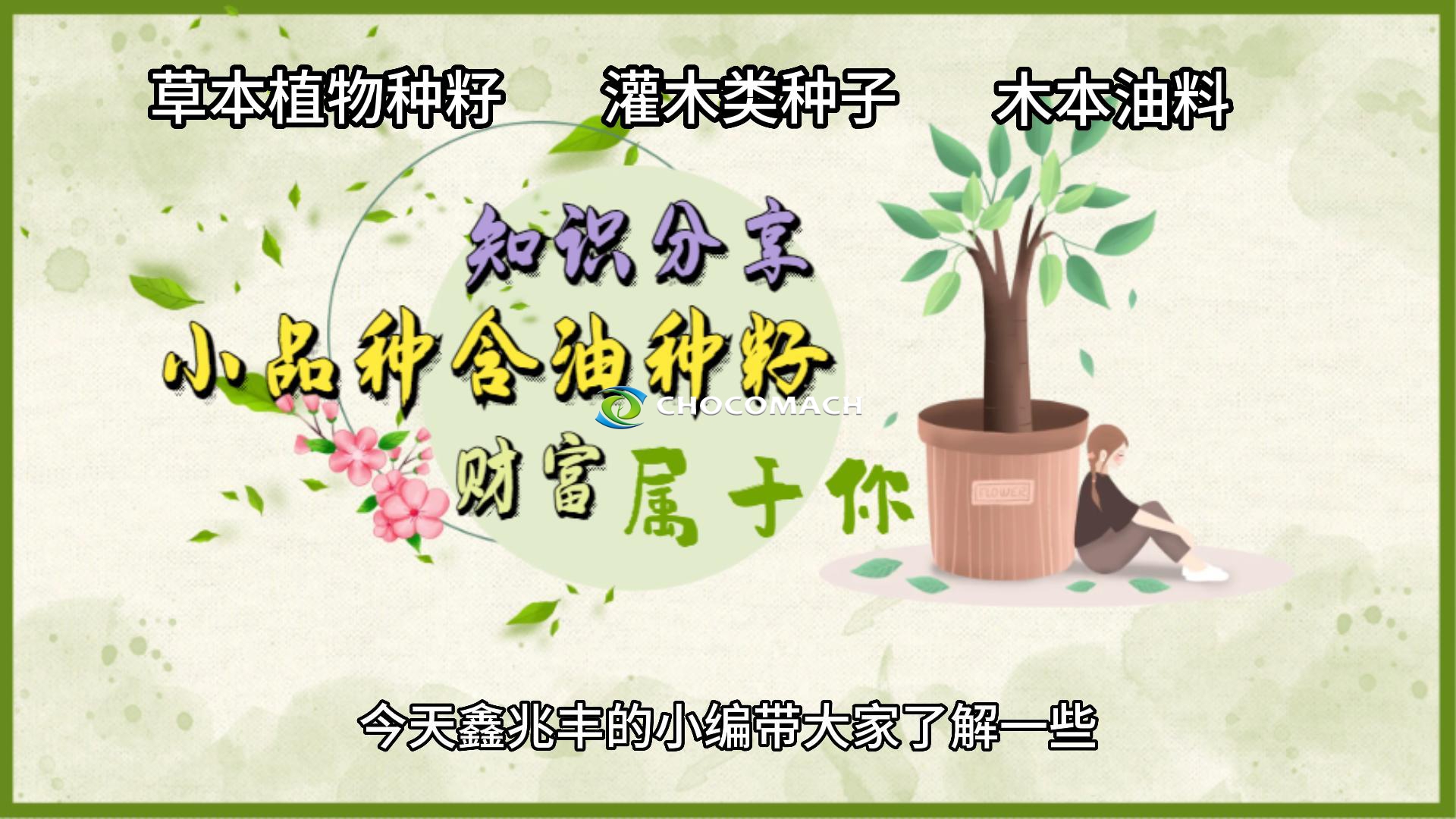 知識分享：小品種油料有哪些利用價(jià)值？液壓榨油機(jī)知識分享