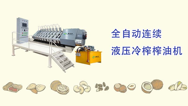 鑫兆豐YZYW全自動液壓榨油機_一種可壓榨可可、核桃、芝麻、花生、茶籽等需要分離油脂保留植物蛋白的高端液壓榨油機