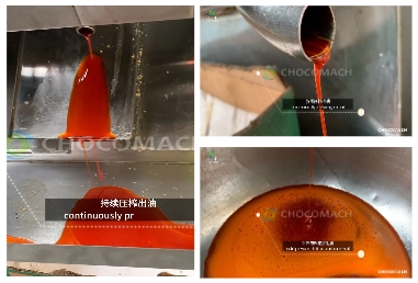 液壓榨油機(jī)，物理壓榨，品質(zhì)之選，助力辣椒加工提質(zhì)增效