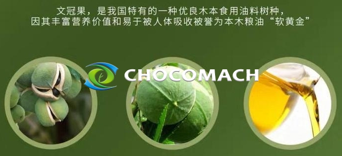 防風(fēng)固沙 “獨(dú)苗” 文冠果 | 北方油茶文冠果 | 58% 油脂率撐起的食品、能源與生態(tài)版圖